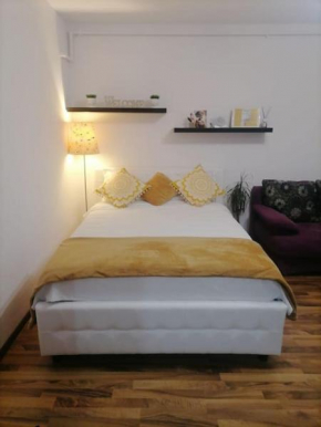 Entire rental unit in București